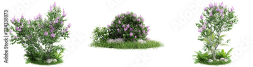 Collection green grass and plant on transparent background.3d rendering png