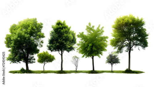 Capture the essence of nature with green trees on a transparent background. Use this image seamlessly for both print and web  featuring a clear cut path and alpha channel.