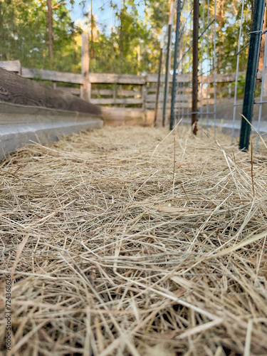 Vertical photo of a raised garden bed covered with straw