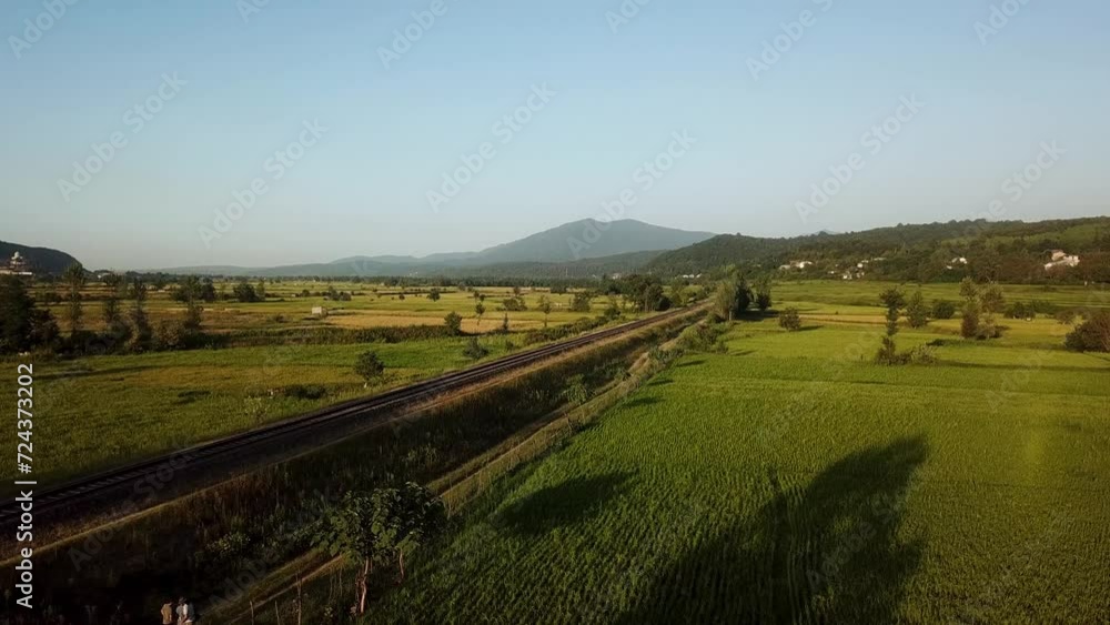 Fly over rice paddy green meadow in mountain forest hills in Gilan near the metal parallel line of railway train tourism transportation and traditional agriculture concept harvest season cultivation Fly over rice paddy green meadow in mountain forest hills in Gilan near the metal parallel line of railway train tourism transportation and traditional agriculture concept harvest season cultivation