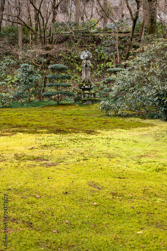 Moss garden in Sanzen-in temple in Kyoto, Japan