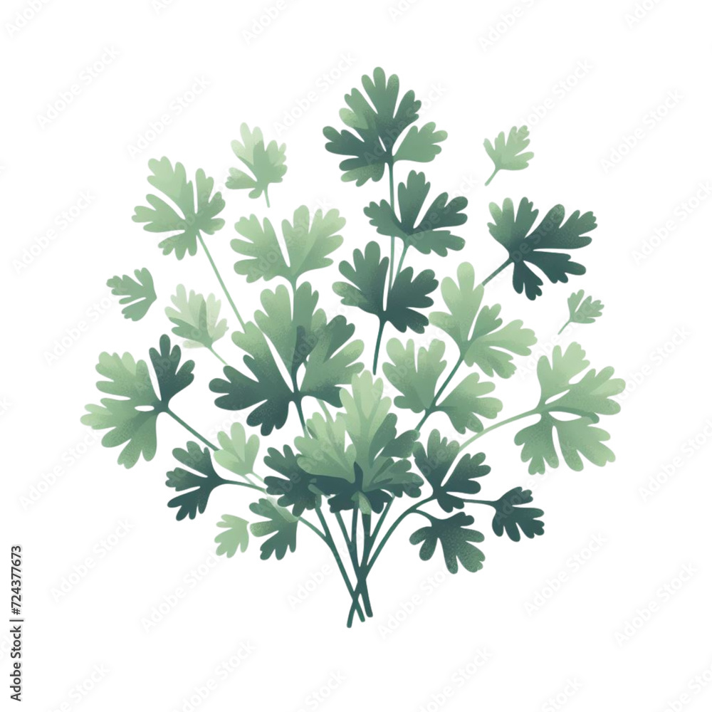 Vegetables on a white background.Isolated image Vegetables on a white background.Isolated image