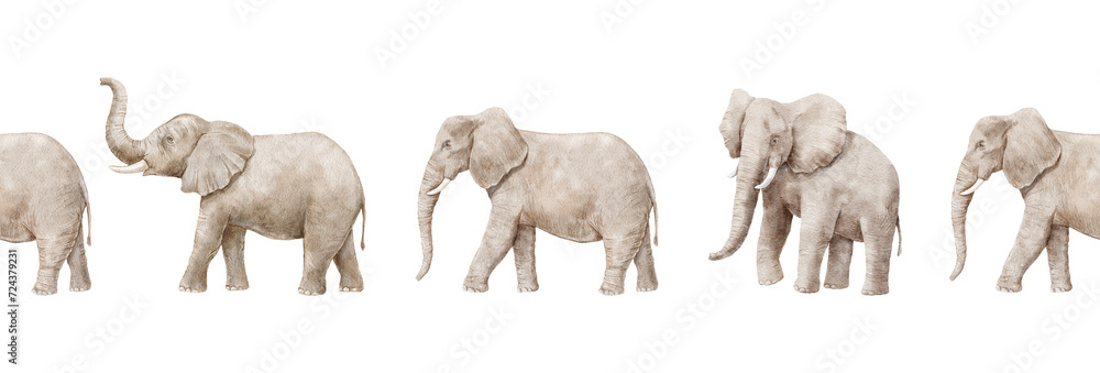 Seamless border with watercolor realistic elephants isolated - obrazy, fototapety, plakaty 