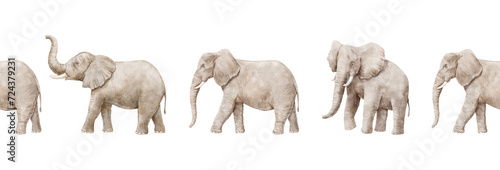 Seamless border with watercolor realistic elephants isolated photo