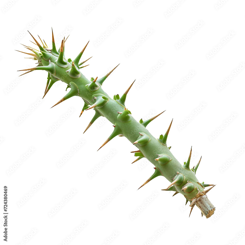 Naklejka premium Spike, isolated PNG object