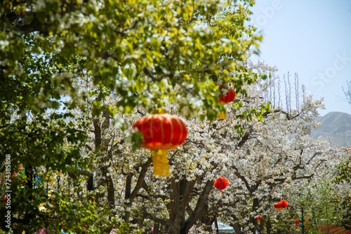 Shichuan Ancient Pear Garden, Gaolan County, Lanzhou City, Gansu Province - Close-up of white pear blossoms photo