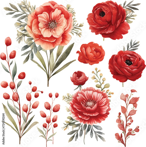 Watercolor flowers set burgundy peonies, pink peonies. Hand-painted abstract botanical illustrations bundle. Isolated on white flowers for wedding stationery, card printing, banners