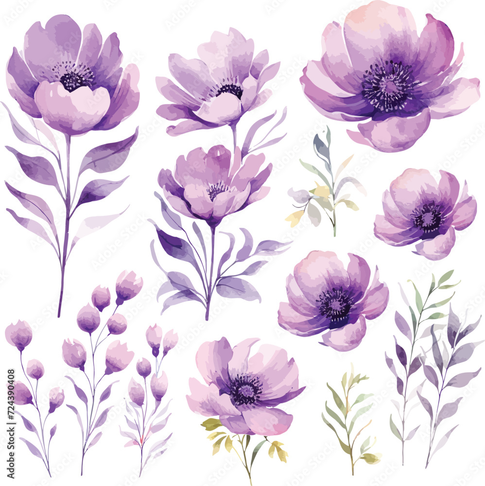 Violet floral collection with leaves,branches. Set of floral elements