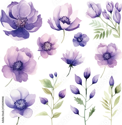 Violet floral collection with leaves,branches. Set of floral elements