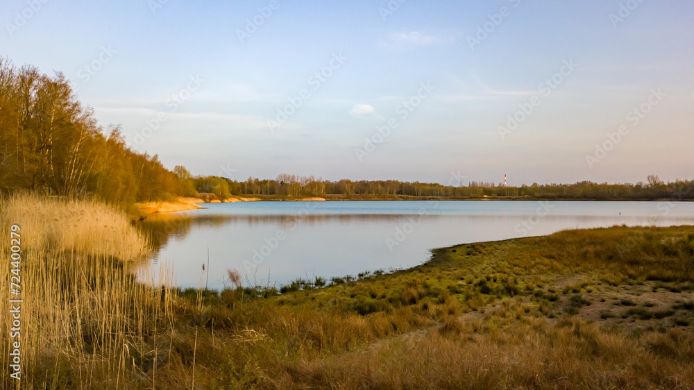 This image presents a tranquil scene of a still lake at twilight, reflecting the soft hues of the sky. The surrounding landscape is a mix of delicate dry reeds in the foreground and a dense copse of