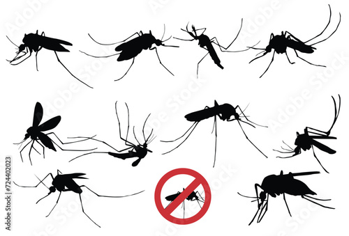 Set of Mosquito silhouette icon logo template vector illustration design © irawan