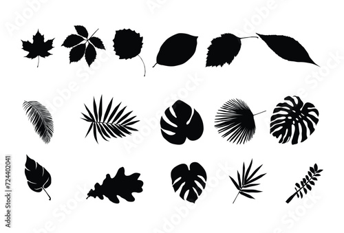 Set of Tropical leaf silhouette icon logo template vector illustration design