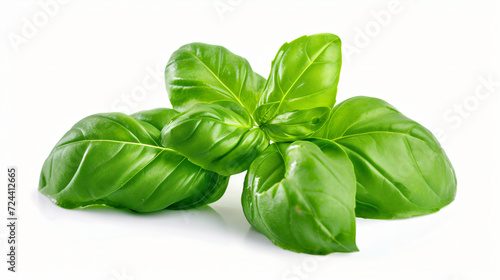 Fresh basil leaves