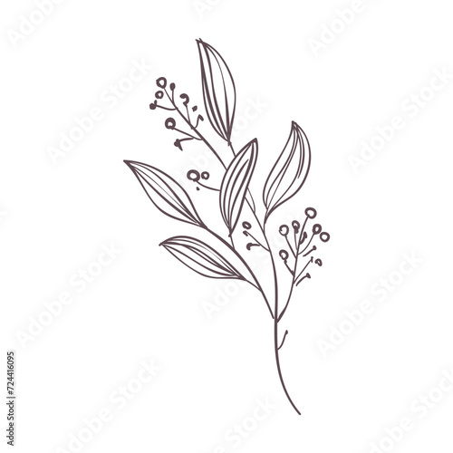 floral lineart element