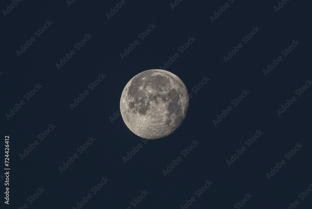 Fototapeta premium moon