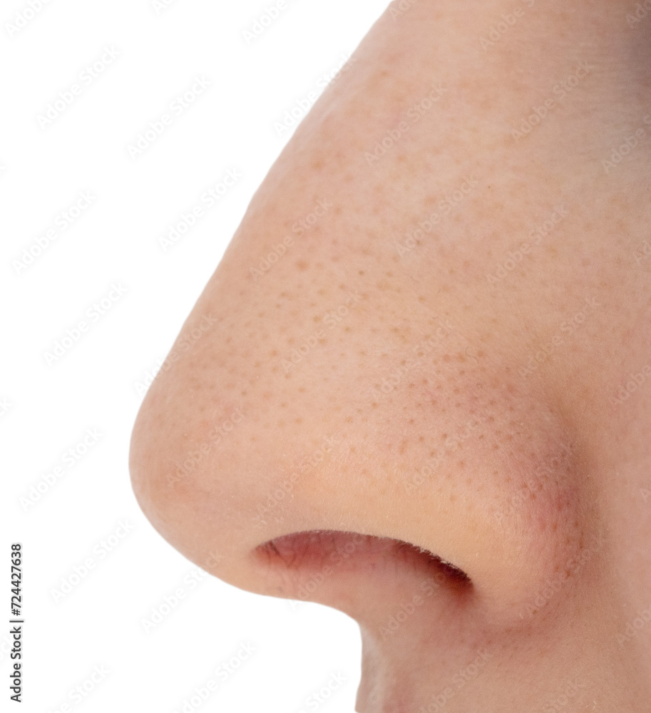 Female nose isolated on white background Female nose isolated on white background