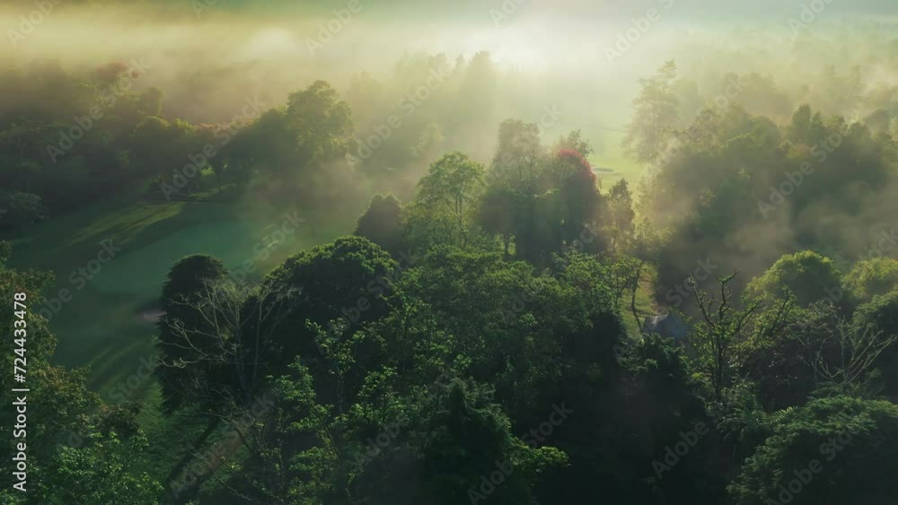 Aerial view of sun rays break through green trees foliage of tropical forest. Misty morning in the wood. Magical foggy sunrise in the rain forest Aerial view of sun rays break through green trees foliage of tropical forest. Misty morning in the wood. Magical foggy sunrise in the rain forest