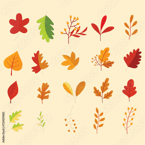 Sets of leaves. Different varieties and colors of Autumn leaves. Autumn leaves vector collection. Vibrant autumn leaves isolated in cartoon style. Can use for editorial, sticker, icon, and promotions.