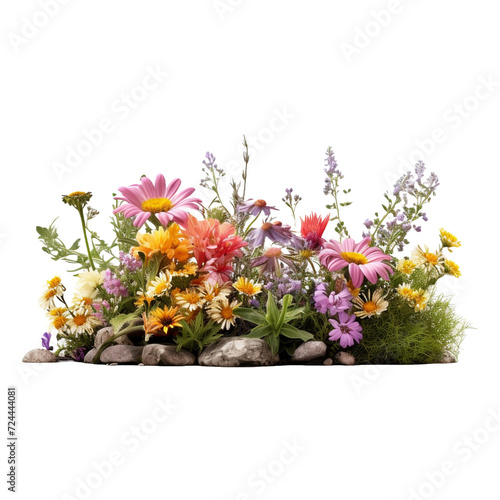 Wallpaper Mural Flower bed flower isolated on transparent background Torontodigital.ca