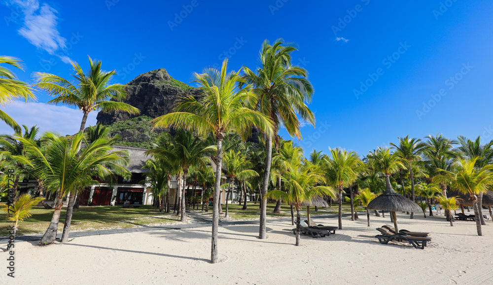Sandy Beach With Palm Trees and Mountain in Mauritius