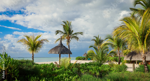 Beach With Palm Trees and Thatched Roof in Mauritius © Dave