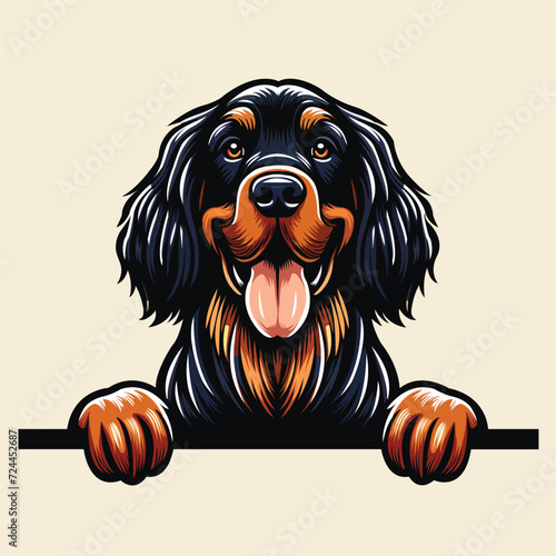  Gordon Setter dog peeking Face illustration vector
