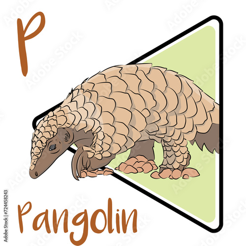 Pangolins have large, protective keratin scales. The pangolin's scaled body is comparable in appearance to a pine cone. Pangolins are solitary and active mostly at night. photo