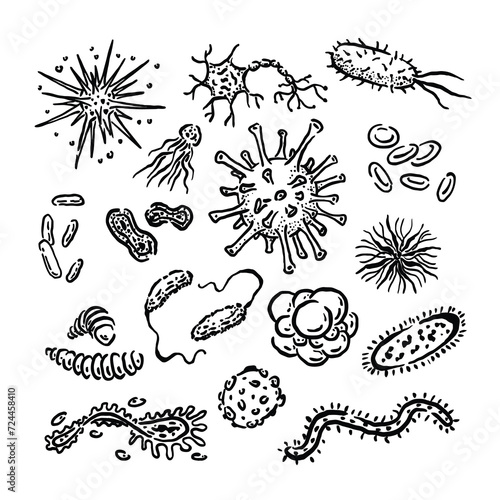 vector unique sketch of microbes and viruses
