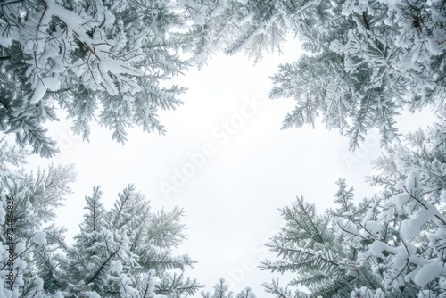 Idyllic Snowy Scene With Sparkling Evergreen Branches In Winter Wonderland