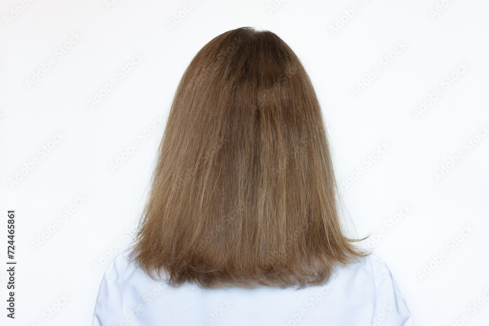 Back view of a woman with damaged dry hair and split ends, isolated on a white background. Concept of health, beauty and keratin treatment for curly or frizzy hair. Model with brown long hair Back view of a woman with damaged dry hair and split ends, isolated on a white background. Concept of health, beauty and keratin treatment for curly or frizzy hair. Model with brown long hair