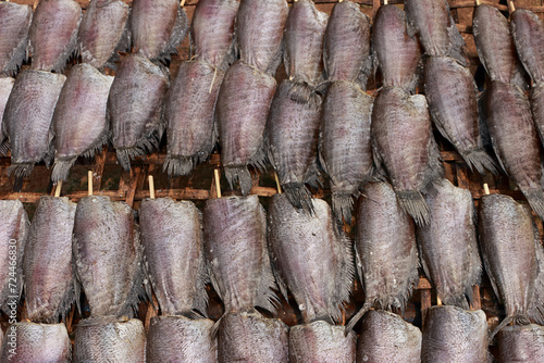 Single sunshine dried fish made from gourami 2