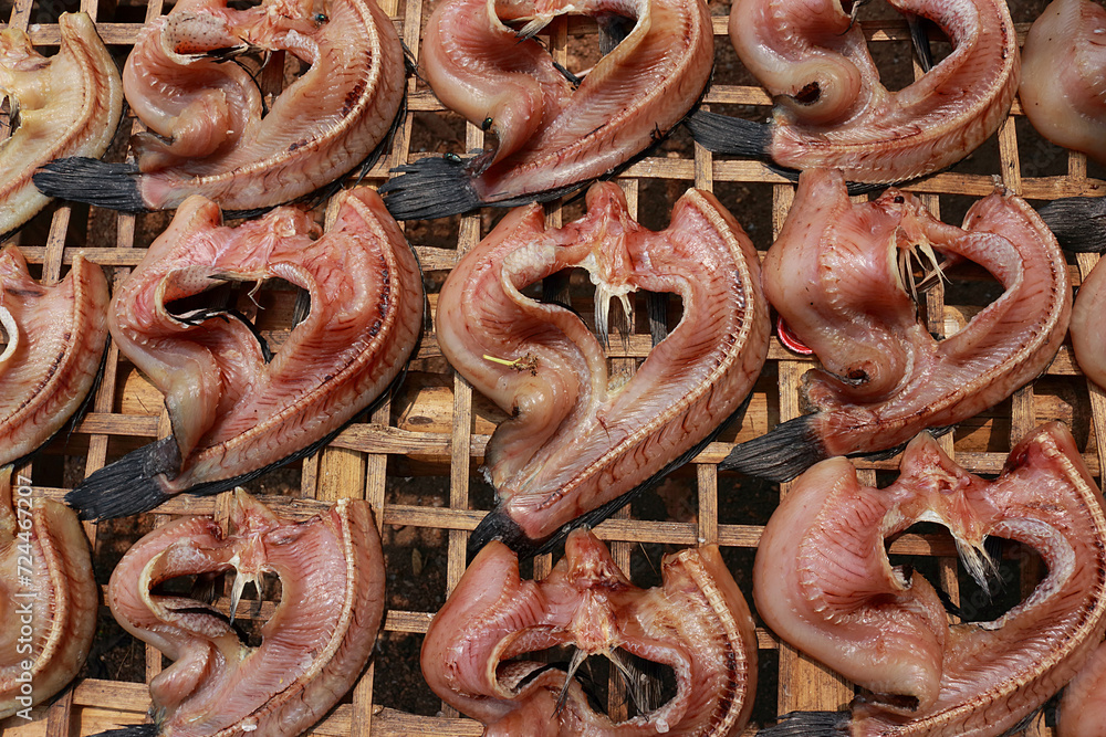 Single sunshine dried fish made from snakehead fish Single sunshine dried fish made from snakehead fish