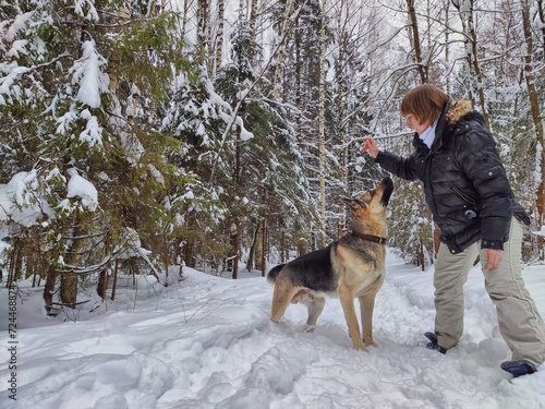 Adult girl, shepherd dog and training in a winter forest. Middle aged woman and big shepherd dog on nature in cold day. Friendship, love, communication, fun