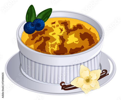 Vanilla Creme Brulee with Blueberries - Exotic Dessert Vector Illustration