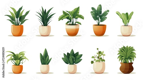 close-up view of various beautiful green houseplants in pots on white, generative ai