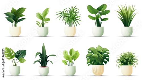 Collection of 3d realistic vector plant pot illustration icons for interior. Isolated on white background, , generative ai photo