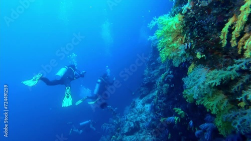 Moalboal, Philippines: Underwater footage of two scuba divers diving in the famous Moalboal wall site in the Cebu island in the Visayas in the central Philippines photo
