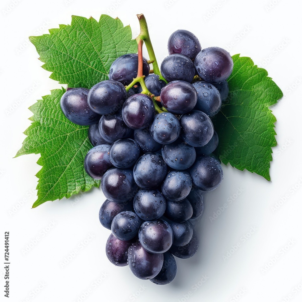 Fototapeta premium Large Fresh Black Grapes Big Bunch On White Background, Illustrations Images