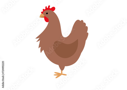 Chicken