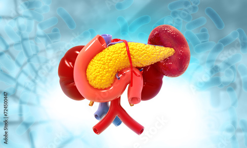 Quadro su tela Human pancreas anatomy on scientific background