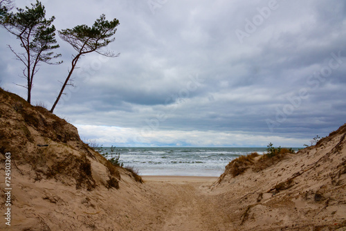 Beautiful dunes scenery of the Slowinski National Park by the Baltic Sea, Leba. Poland photo