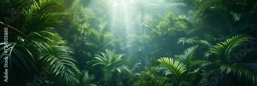 Beautiful photo of a tropical forest for a background © olegganko