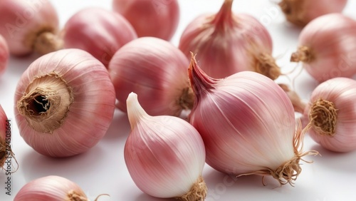 shallot/onion with white background in close up photo photo