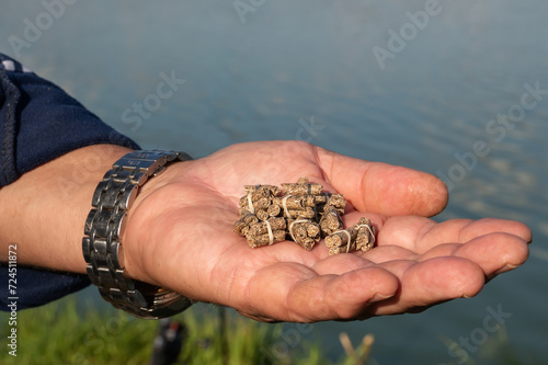 Pellets in the fisherman's hand. A fisherman with bait. Close-up of a hand holding feed. Colorful view, blurred background, selective focus. photo