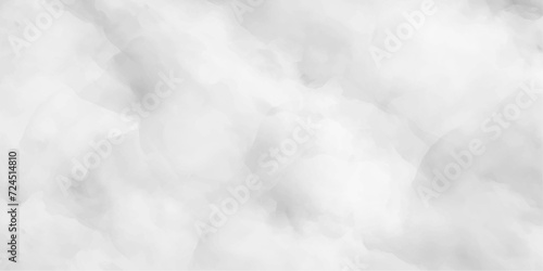 White cloudscape atmosphere.realistic fog or mist cumulus clouds,vector cloud,brush effect,liquid smoke rising.design element before rainstorm smoke swirls transparent smoke mist or smog. 