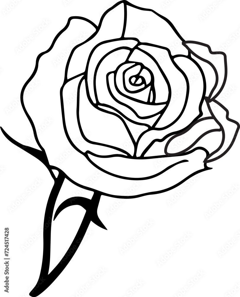 rose and a rose, rose vector design rose and a rose, rose vector design