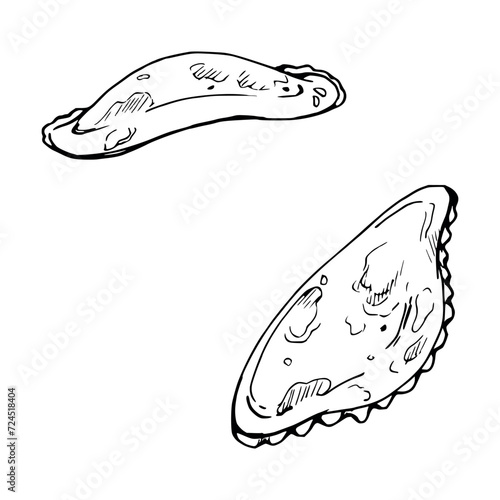 Hand drawn ink vector illustration, traditional meat vegetable filled pie dumpling empanadas turnover. Composition isolated on white background. Design travel, cafe restaurant menu, brochure, print