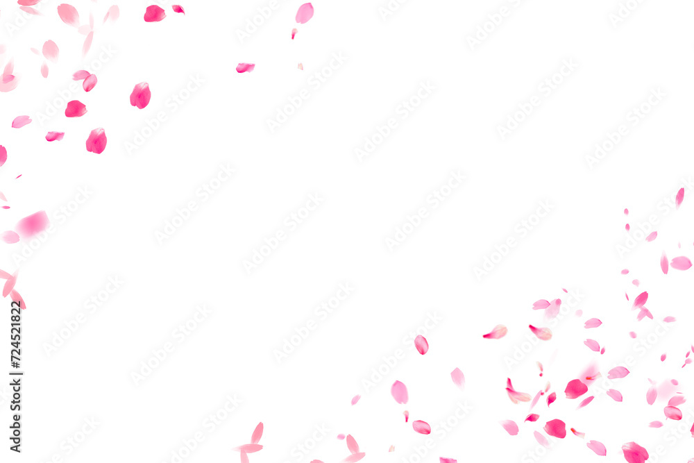 Sakura patern transparent