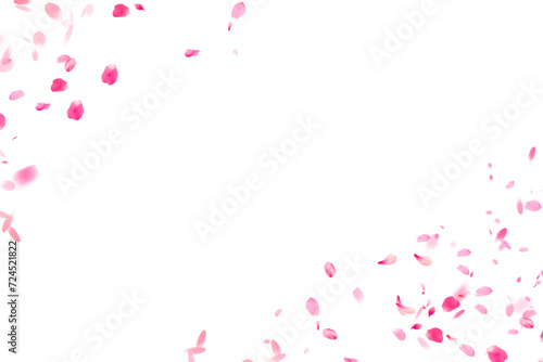 Sakura patern transparent
