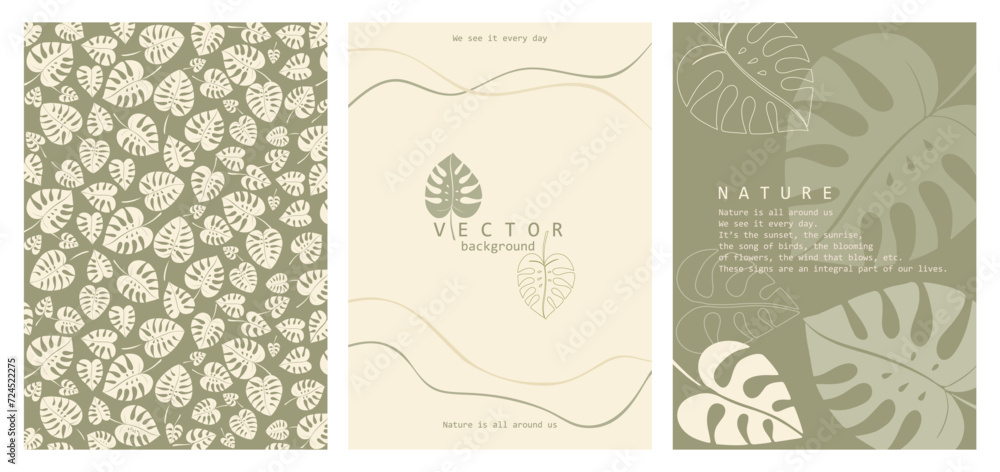 Vector illustration. Set of three posters, light monstera leaves on a green background, decor. Luxury design for invitations, report templates, presentations with plants, nature.